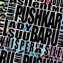 Damir Pushkar & Lady Suubaru - Silent Whisper