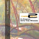 Dj Rabano - Into The Woods (Row Sunshine Remix)
