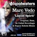 Marc Vedo feat. Tricia Kelshall - Liquid Spirit (So Called Scumbags Remix)