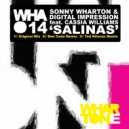 Sonny Wharton & Digital Impression feat. Cassia Williams - Salinas