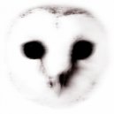 Burnski - Autumn Days