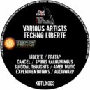 Amer Mutic - Suicidal Thoughts (Original Mix)