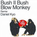 Bush II Bush - Blow Monney (Original Mix)