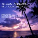 Shaun Ansari - Luxuria