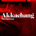 Per Hammar - Akkachang