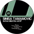 Sinisa Tamamovic - Playing With Destiny (Original Mix)
