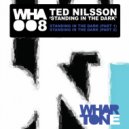 Ted Nilsson - Standing In The Dark