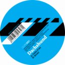 Dachshund - Patte D'Oie