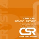 Rohan Murphy - The Trip (Original Mix)