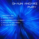 Shaun Ansari - Fury