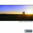 Vinylsurfer - Suppressed Emotions (Gabriel Patita Remix)