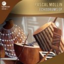 Pascal Mollin - Echodrums