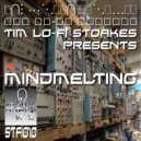 Tim 'Lo-Fi' Stoakes - n2omadness