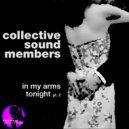 Collective Sound Members - In My Arms Tonight (Lewis Ferrier\'s Funky Dub)