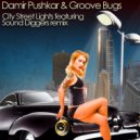 Damir Pushkar & Groove Bugs - One Night Stand