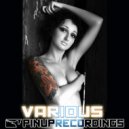 PSI Force - The Dinosaurs (Original Mix)