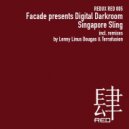 Facade pres. Digital Darkroom - Singapore Sling (Lenny Linus Dougas Remix)