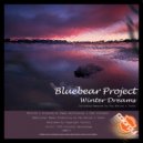 Bluebear Project - Winter Dreams