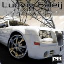 Ludvig Faleij - I Got Everything You Want (Johan Berg Global Remix)