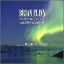 Brian Flinn - Winter Nights
