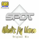 DJ Spot - What's My Name