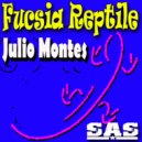 Julio Montes - Fucsia Reptile (Original Mix)