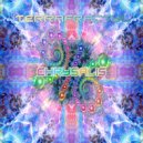 Terrafractyl - The Mind's I