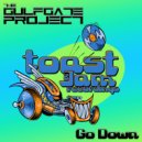 The Gulf Gate Project - Go Down