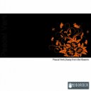 Pascal Vert - Away From The Flowers (Vinylsurfer\'s Far Far Away Mix)