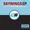 Skywings - Hot Minds (Original Mix)
