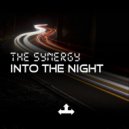 The Synergy - Its a Mystery