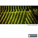 Manipura - Super Grapes (Reflecting Sphere Remix)