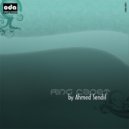 Ahmet Sendil - Ring Cadet (P.T.M Remix)