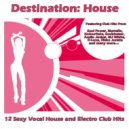 White Punks On Dope - Destination House