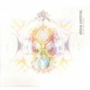 Shiva Central - Intelligent Species