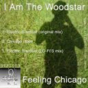I Am The Woodstar - Electric stardust