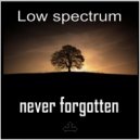 Low Spectrum - Never Forgotten (Original Mix)