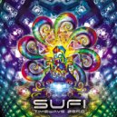 Sufi - Gravitational Wave