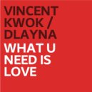 Vincent Kwok & D\'Layna - What U Need Is Love (New Mondo Dub)