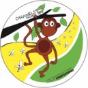 P.Toile - Tigre Della Stella (Dachshund Remix)