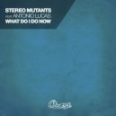Stereo Mutants feat Antonia Lucas - What Do I Do Now