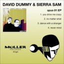 David Dummy, Sierra Sam - Never Mind