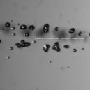 Kratarknathrak - Discoterminator