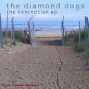 The Diamond Dogs - The Beater (Original Mix)