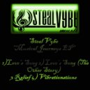 Steal Vybe - Vibrations