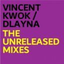 Vincent Kwok & D'Layna - Love Is The Answer