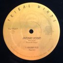 Antonio Ocasio - Alegria