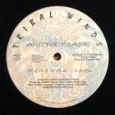 Antonio Ocasio - Renewal