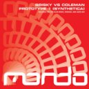 Brisky Vs. Coleman - Prototype 1 (Original Mix)