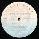 Gabrielle Roth & The Mirrors - Spirit (Original Mix)